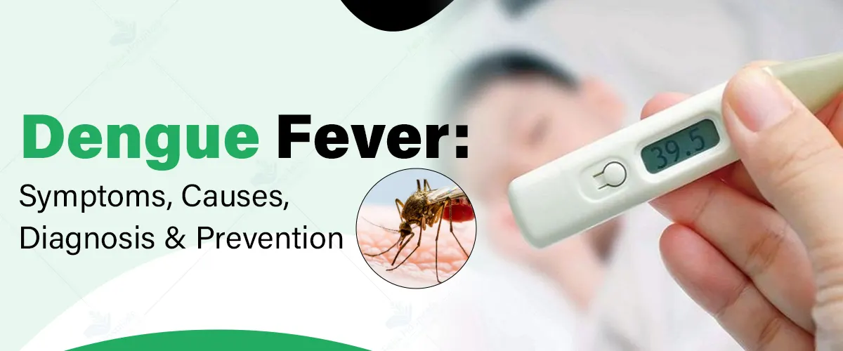 Understanding Dengue Stages: A Guide for Indian Patients and Families